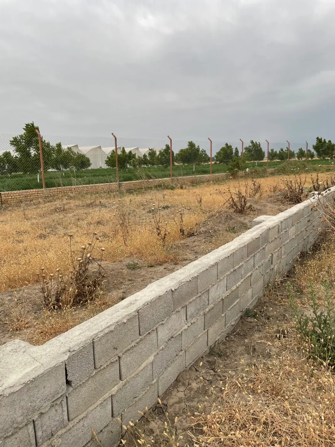 زمین مسکونی ۱۰۰ متری با بر ۸ متر