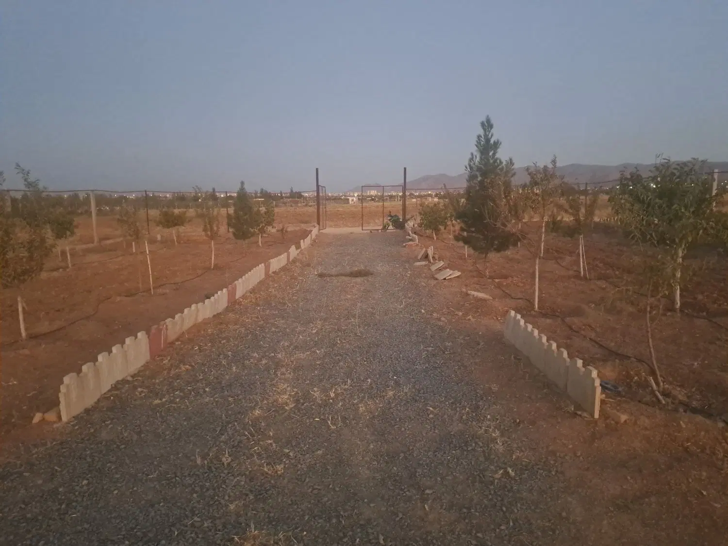 باغ مرزیگرون