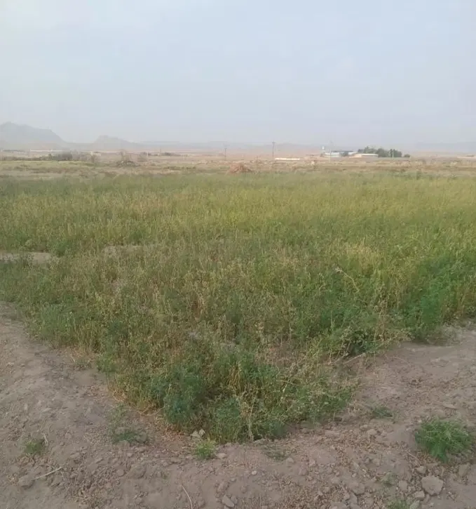 زمین فروشی فوری
