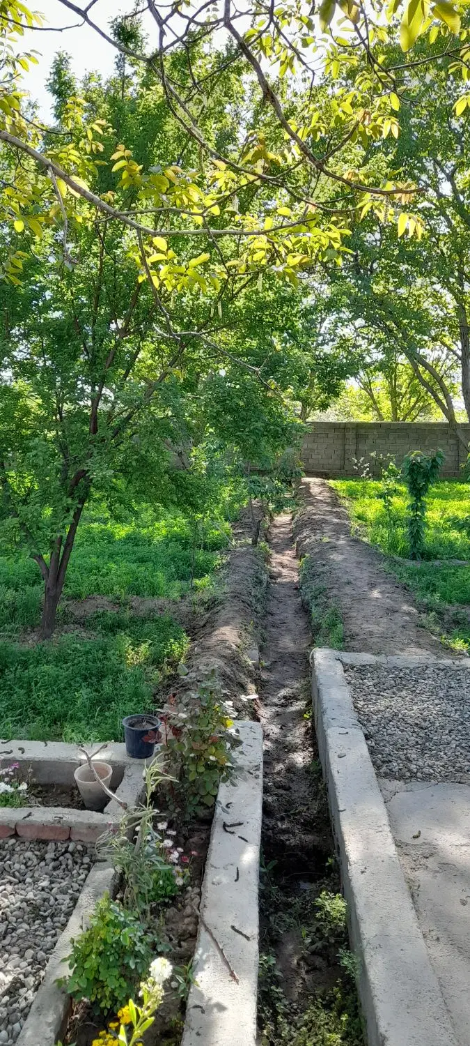 باغ ویلا