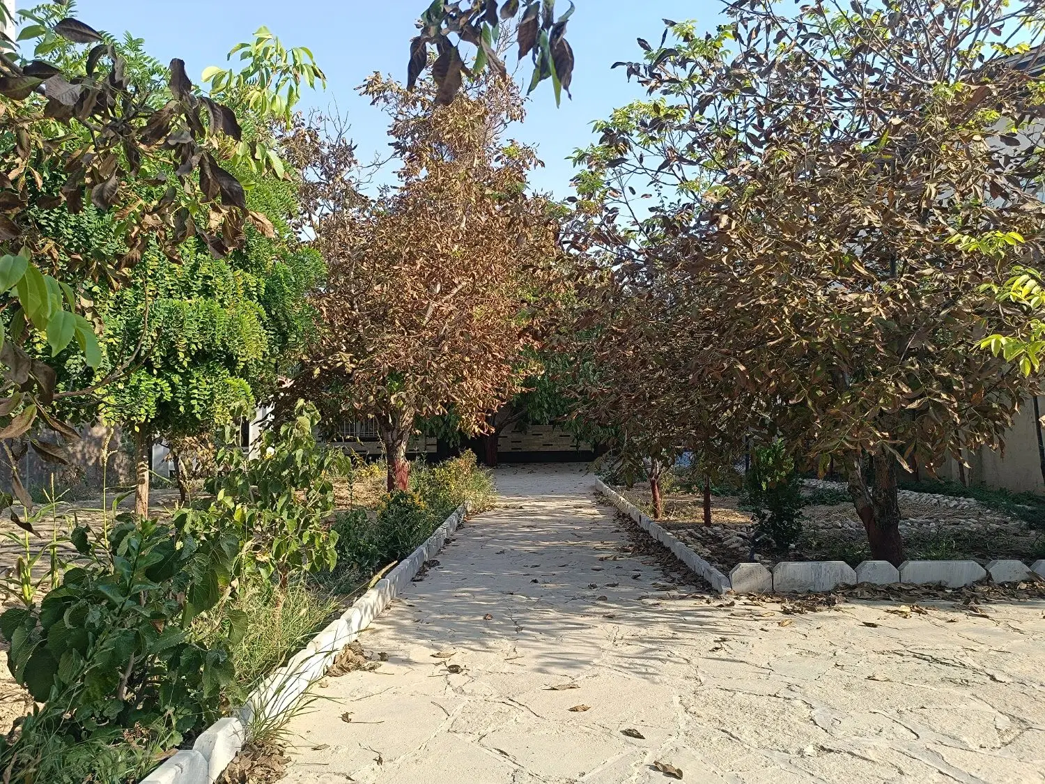 ویلا فروشی