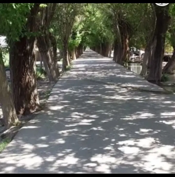 چهاردیواری 820مترکوچه درختی دوم برخیابان درختی