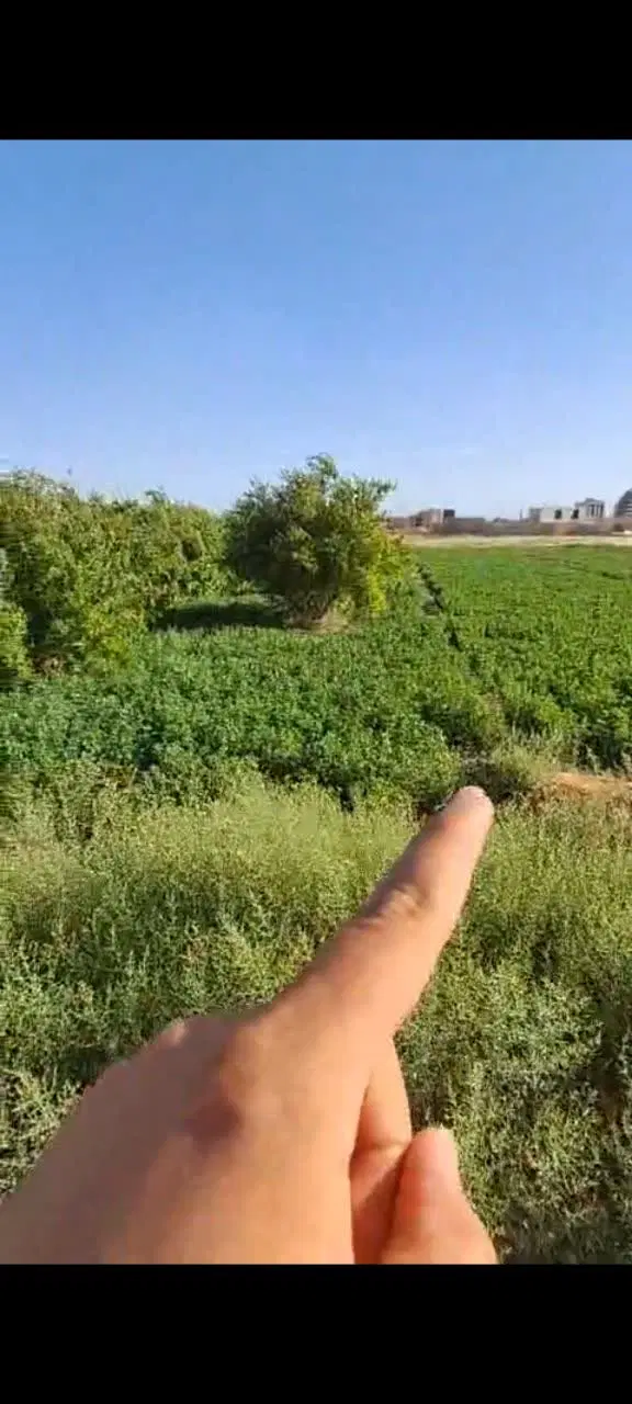 فروش زمین میبد