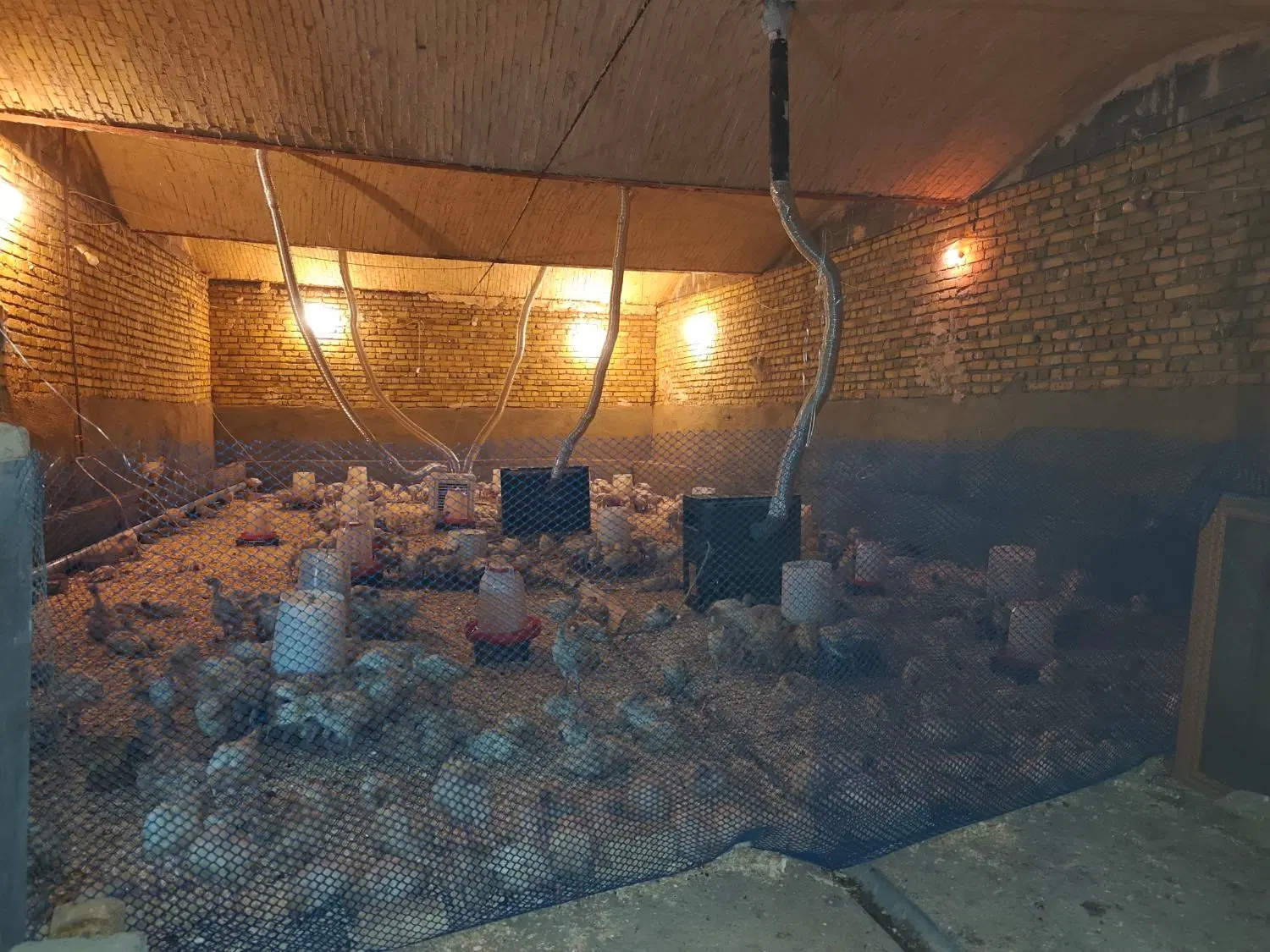 ملک کارگاهی
