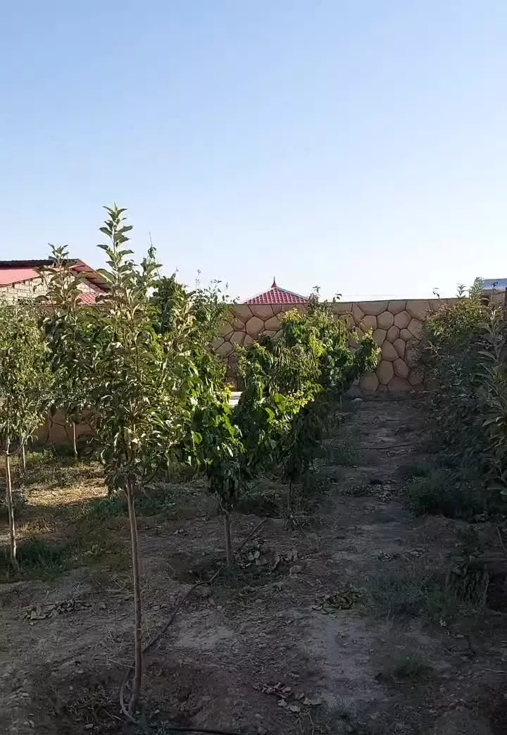 باغ روستای چهچهه