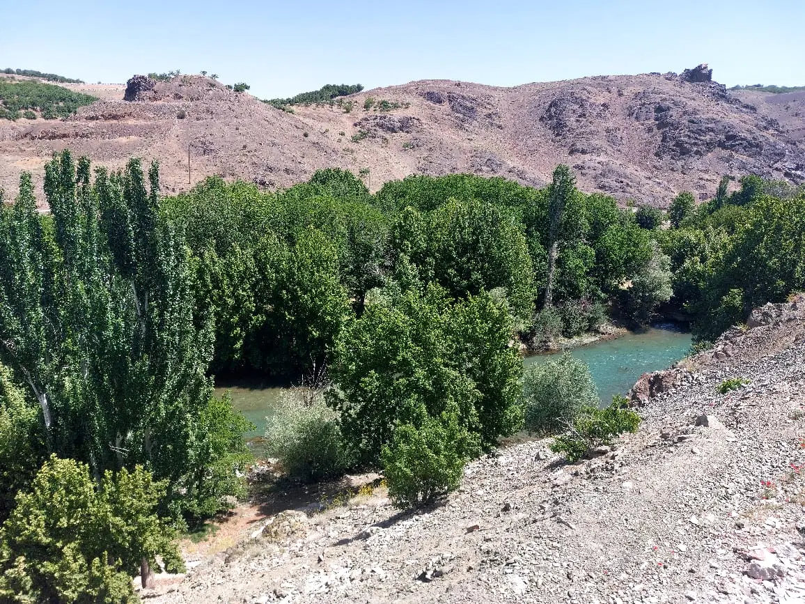 باغ کنار رودخانه