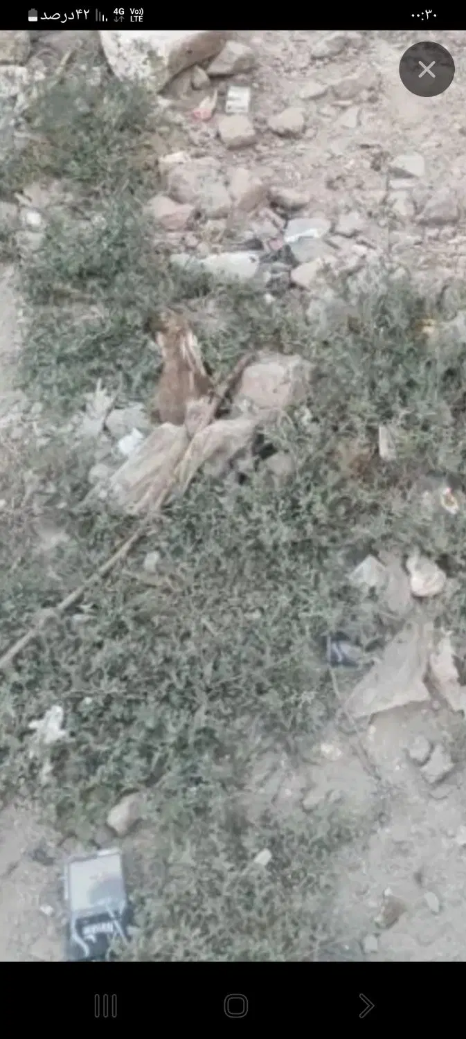 زمین خالی