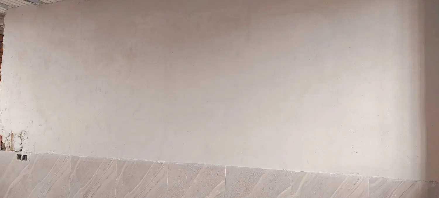 هم خونه
