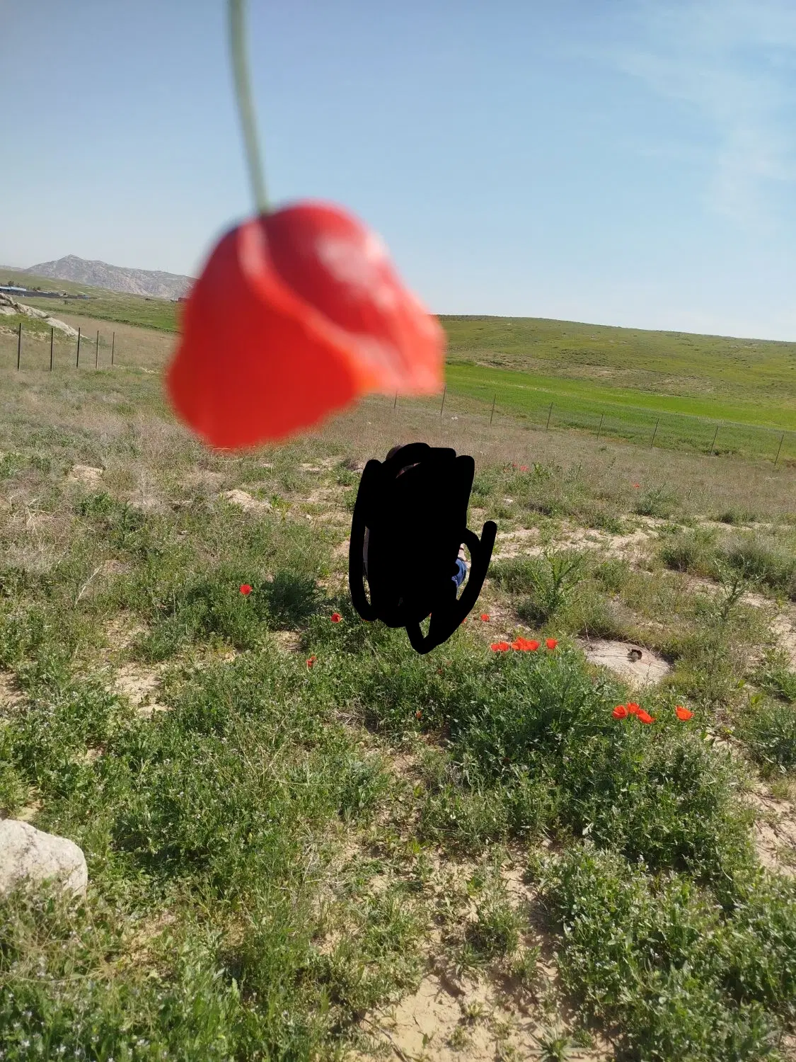 کوره آهک پزی