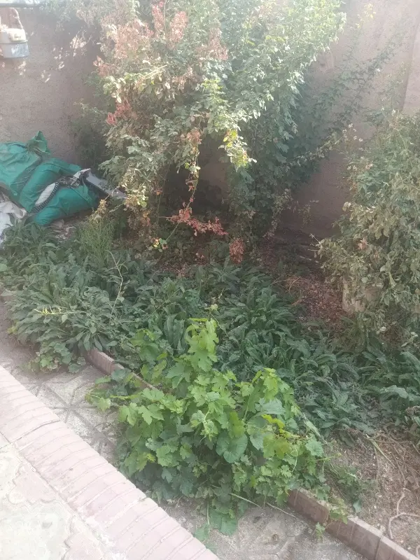 آب و زمین  اجاره