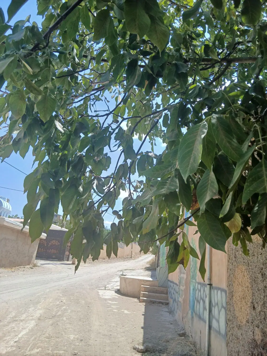 فروش باغ ویلا۶۷۰متری سیاسرد
