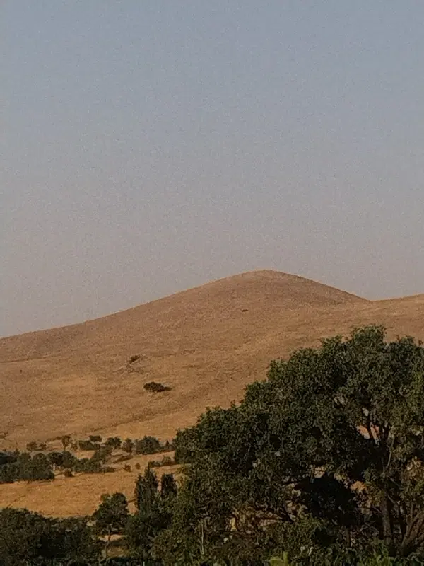 مسکن ملی