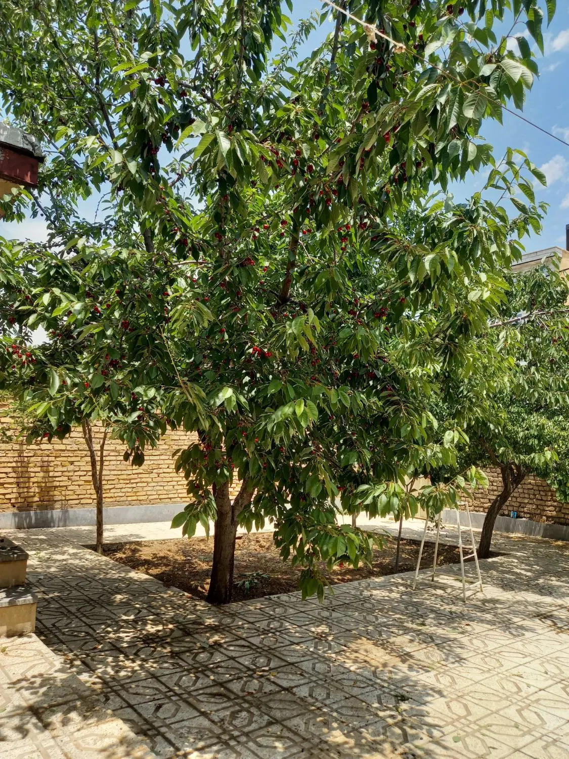 خانه ویلایی ابهر