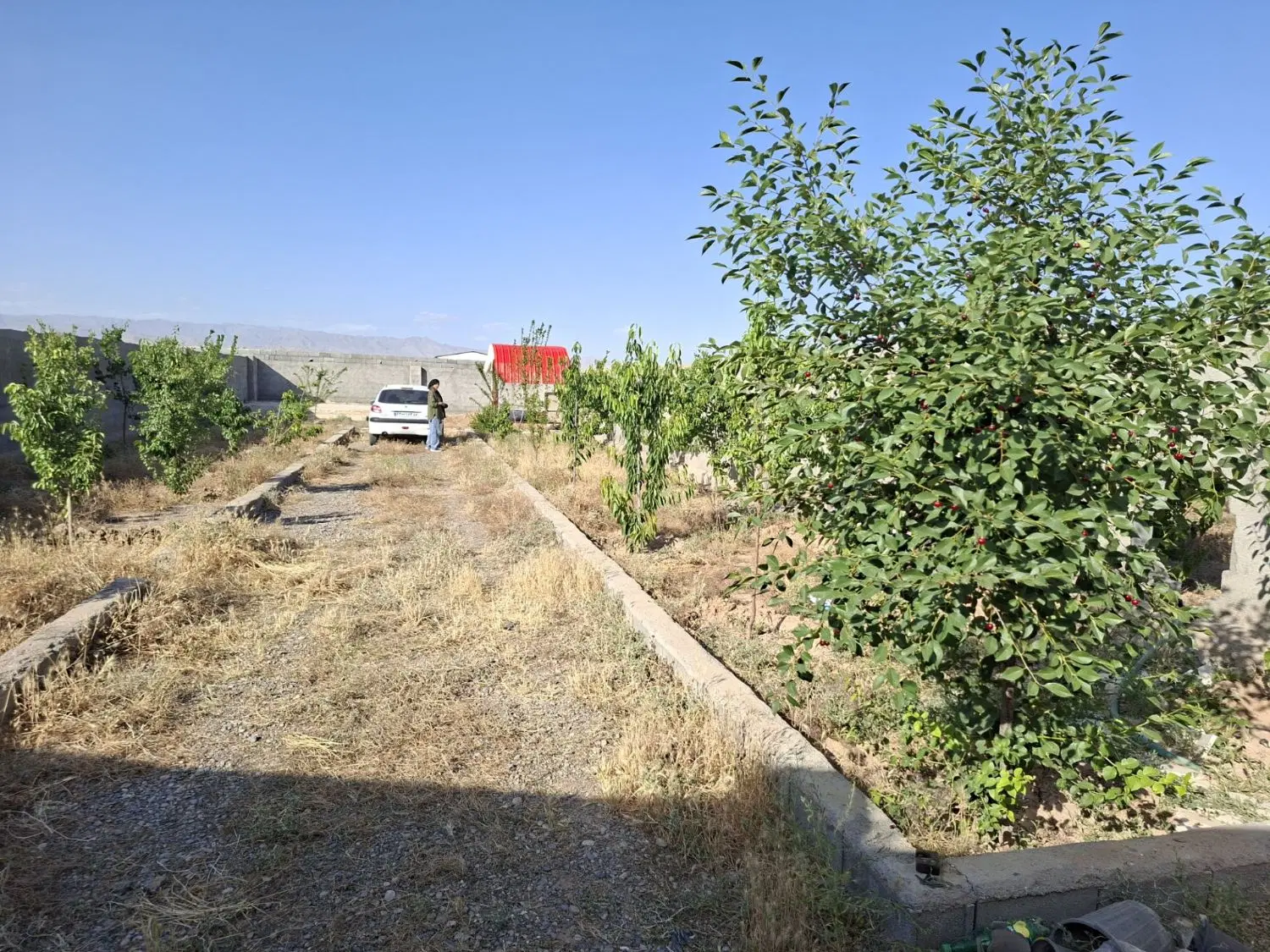 دو قطعه زمین ۵۰۰ متری در بلوار شاهنامه