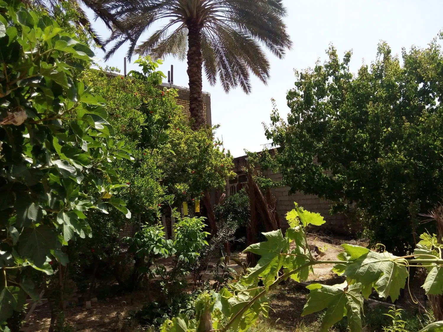 فروش دو قطعه زمین مسکونی ب متراژ هرکدام ۳۰۰ متر