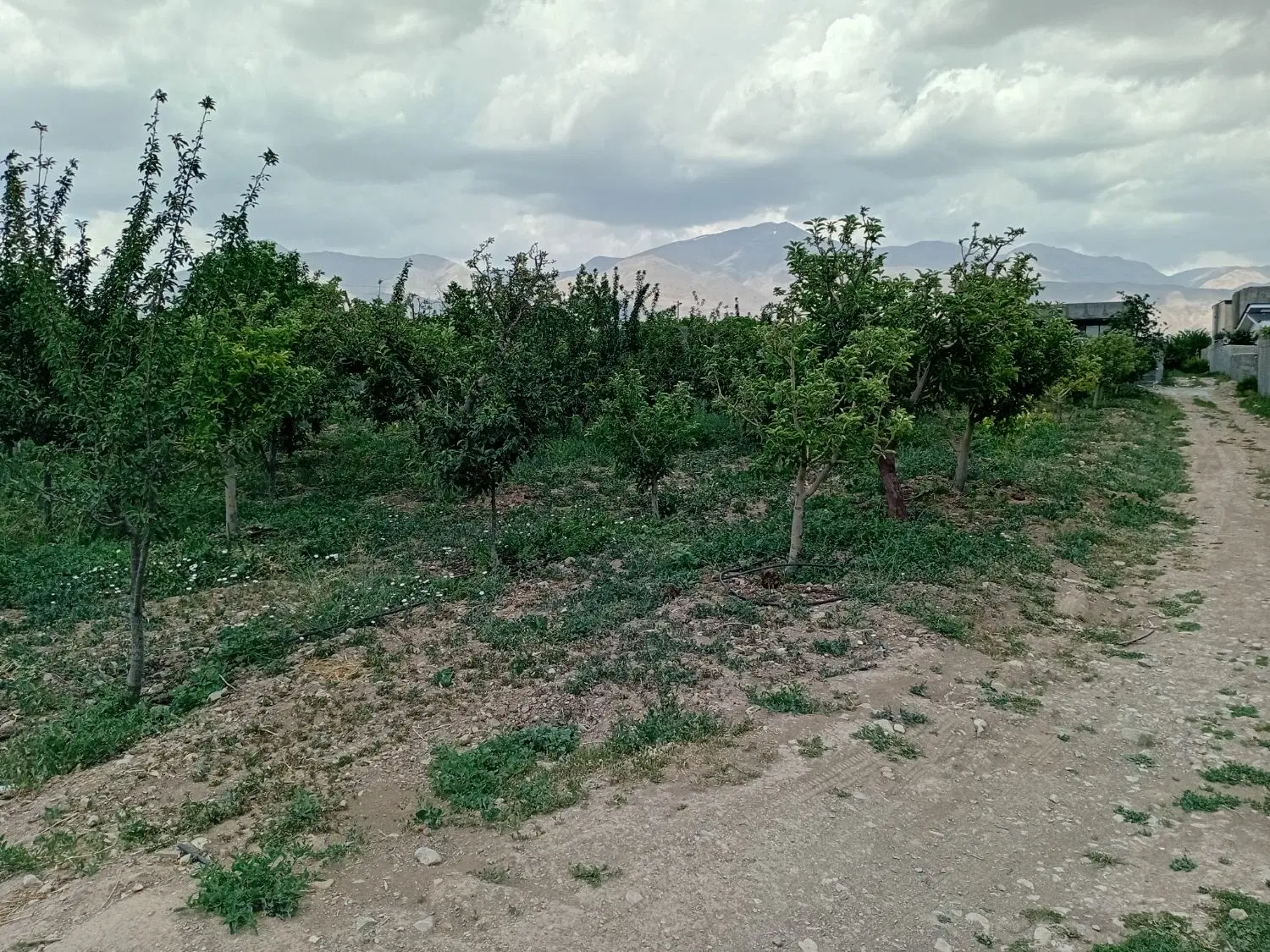 فروش زمین،باغ،باغچه ۴۰۰ تا۱۰۰۰ متر زان،آبسرد
