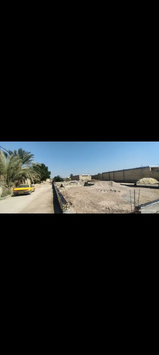 زمین سند تک برگ دار در جزیره مینو