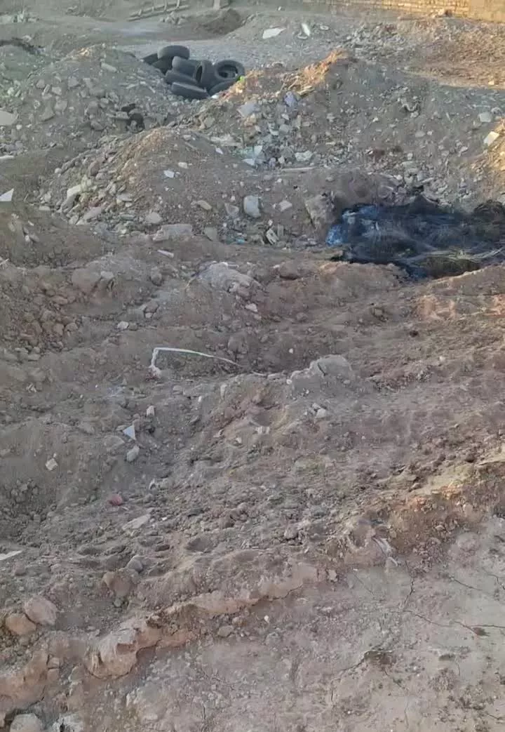 زمین جهت خانه باغ وگلخانه