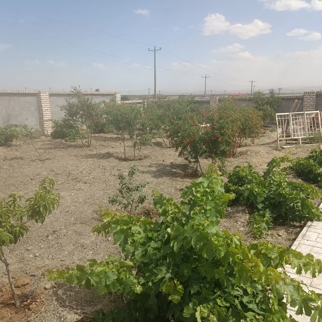 زمین ویلایی  در خسروجرد