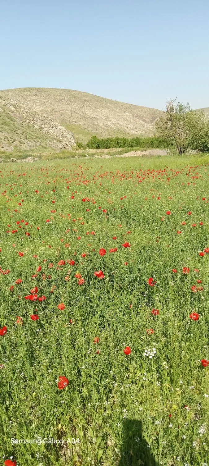 زمین آبی  که قنات داره