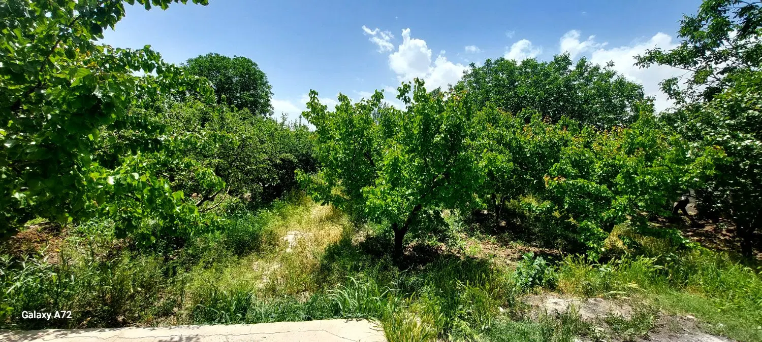 چهار دیواری(باغچه)