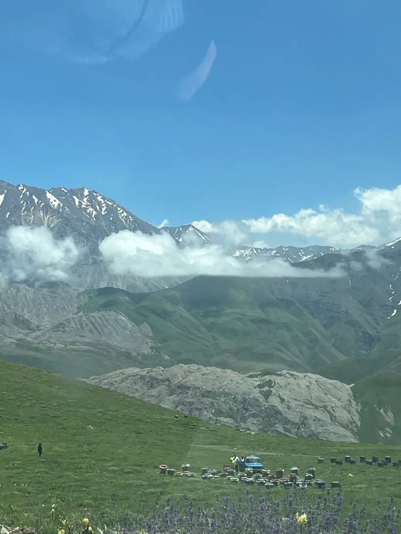 زمین فروشی در روستای چای دره