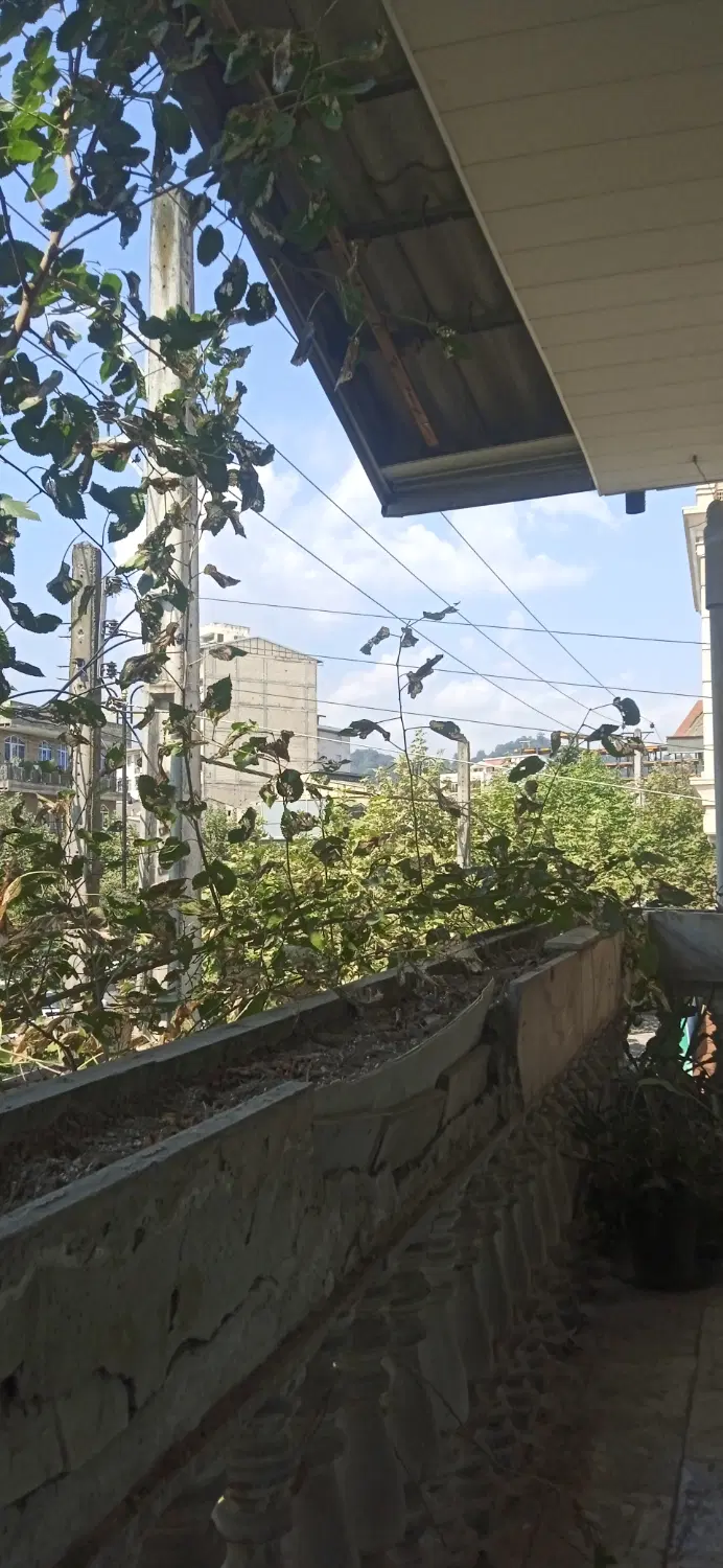 همخونه میشم