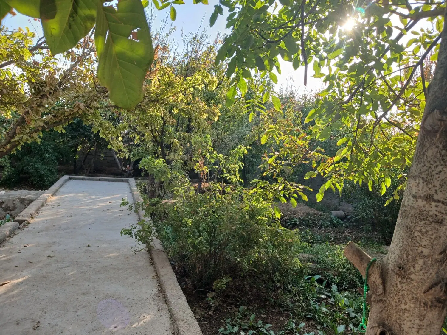 باغچه فروش معاوضه ملارد صالح اباد