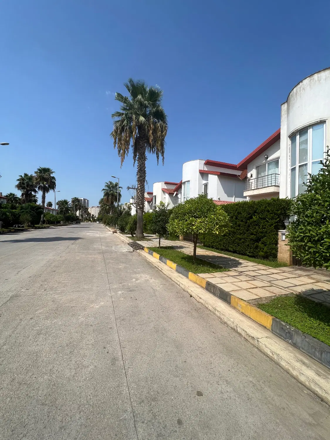 زمین ۱۰۰ متری خط دریا فقط ۷۵۰۰ املاک نرسی