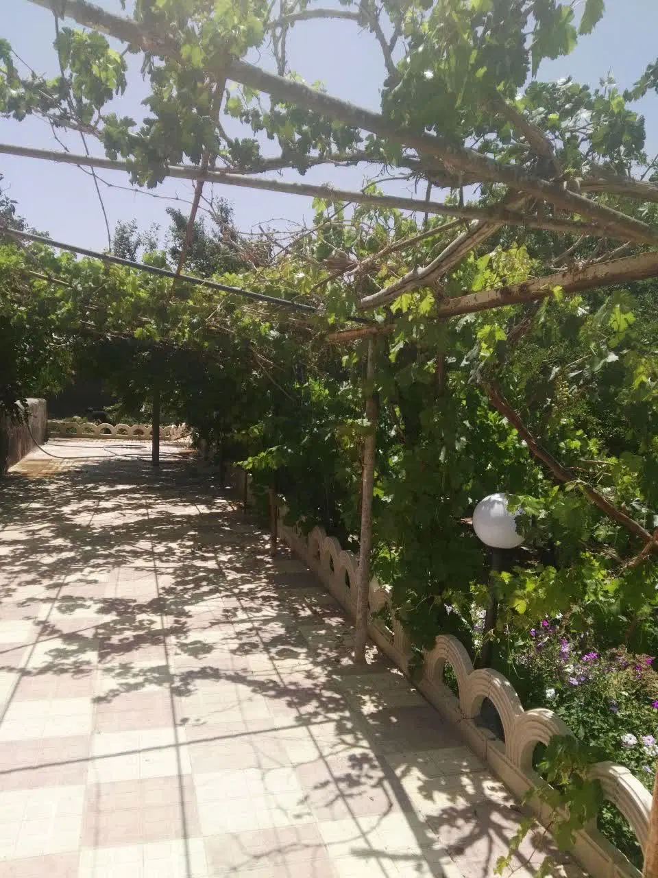 باغ نهضت آباد