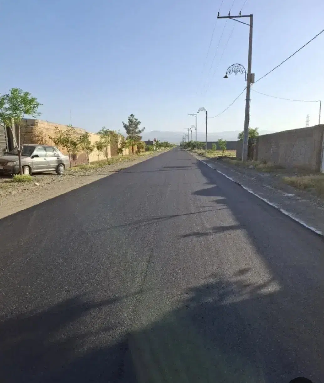 زمین ،باغی،کاهو