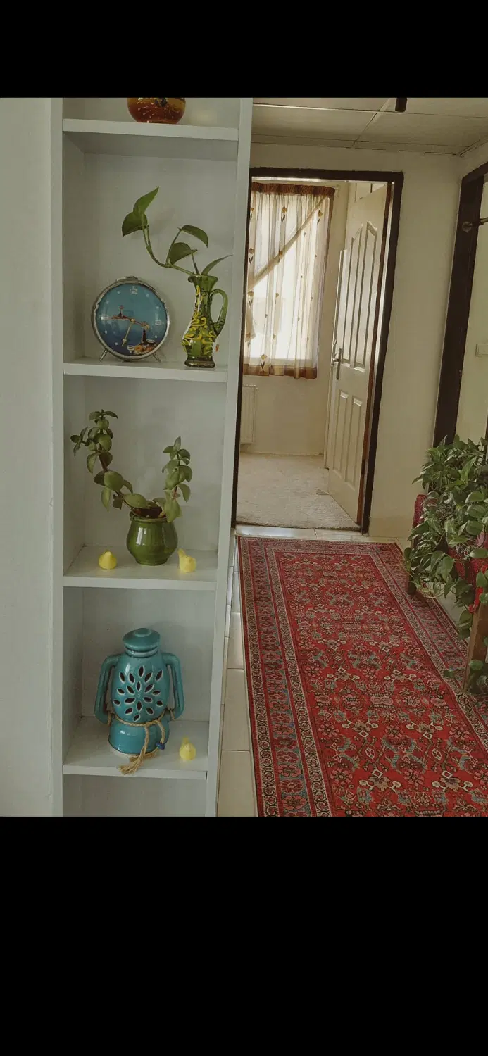 دوشان داخل شهرک ۹۲ متری