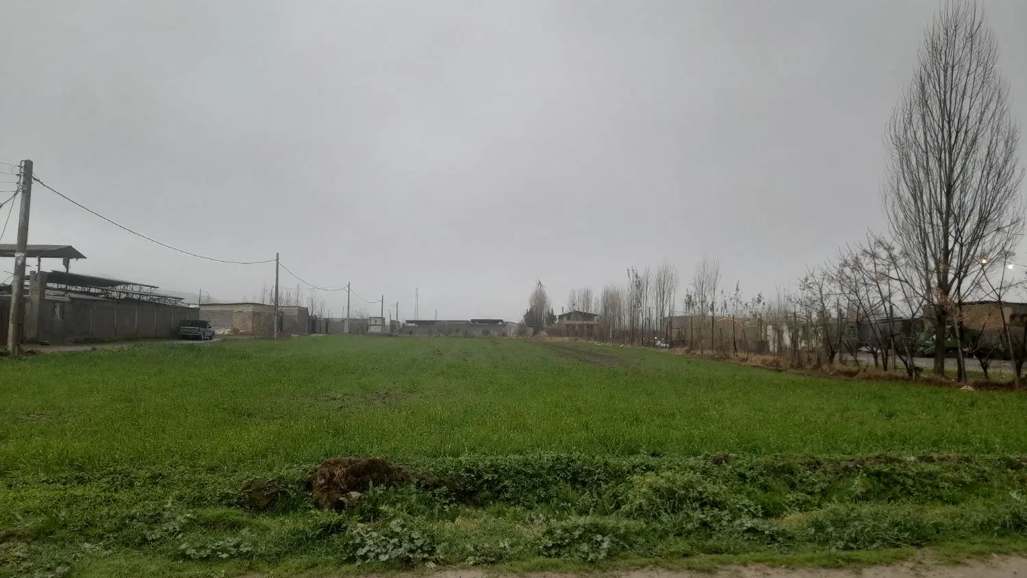 زمین زراعی، باغی