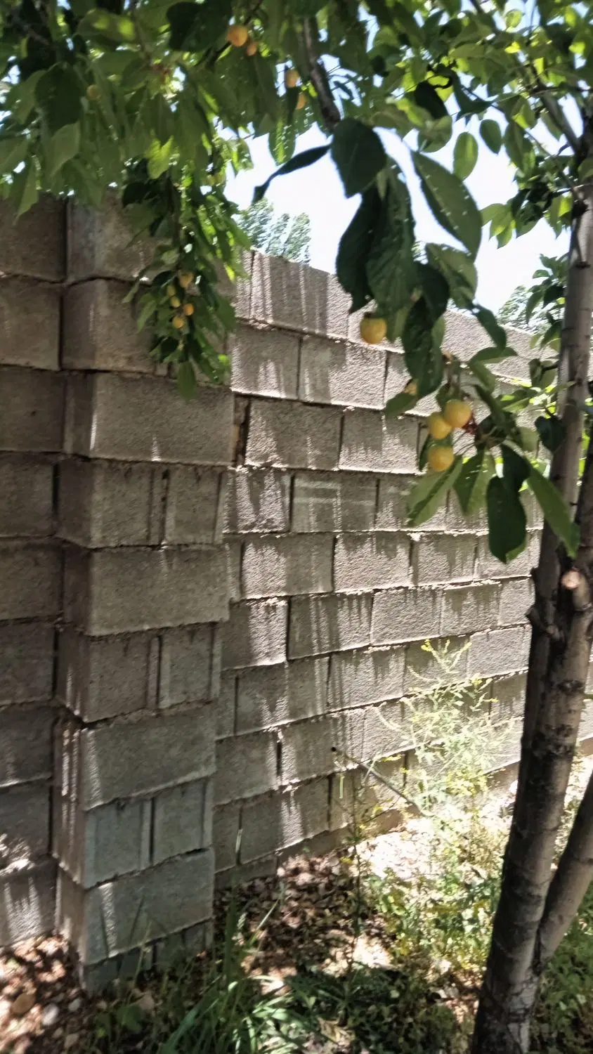 اجاره خونه