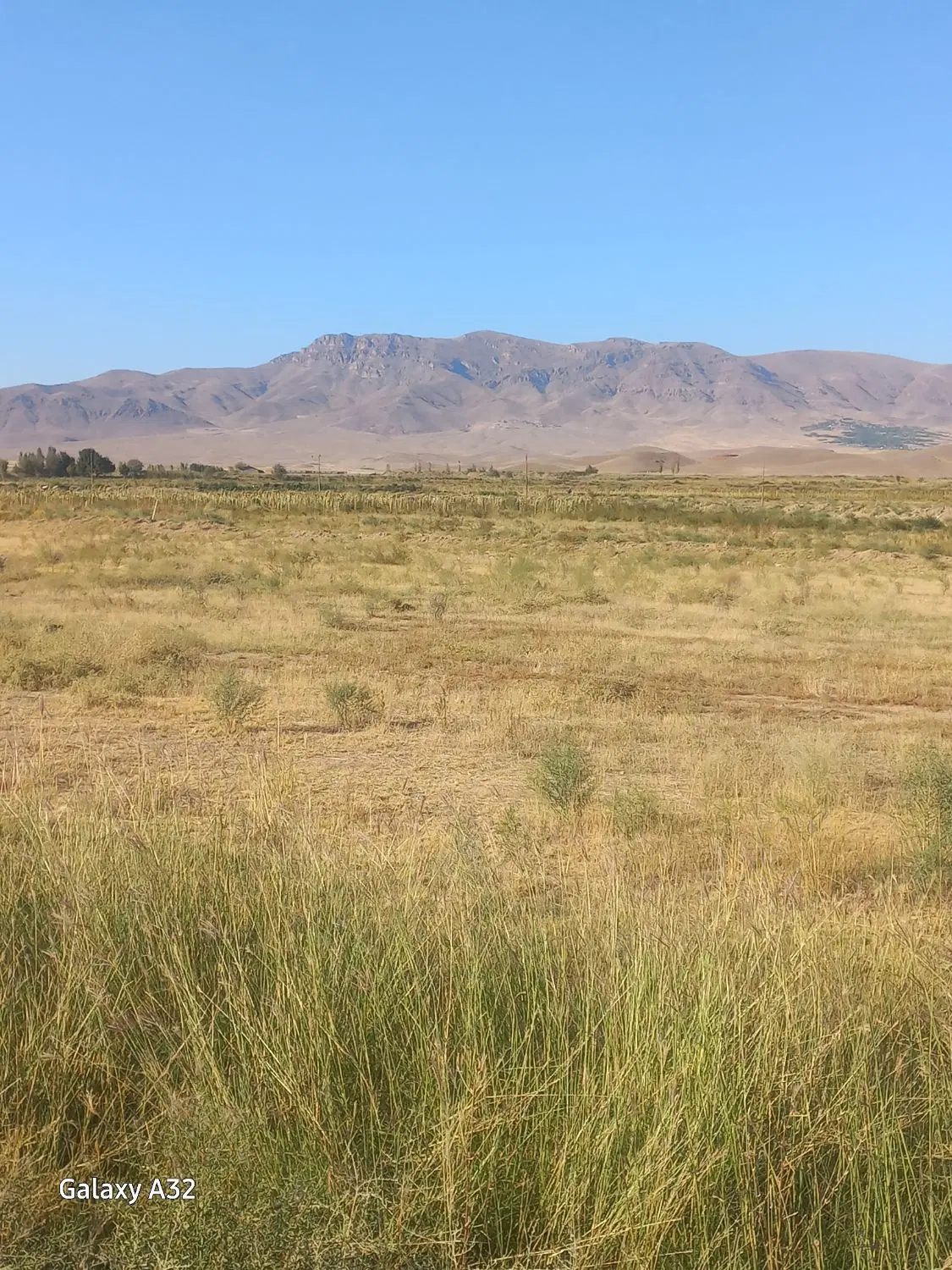 زمین زراعی در روستای قره تپه