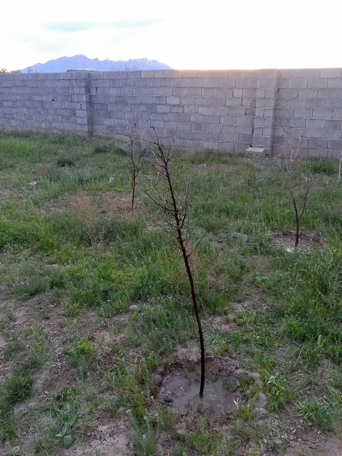 قطعه زمین ویلایی حصار در مرکز صوفیان