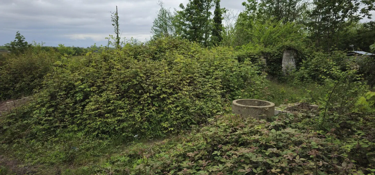 فروش خانه ویلایی سنتی
