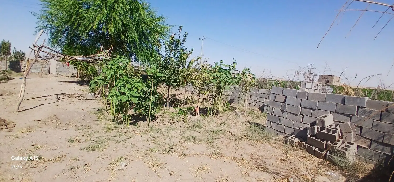 زمین ۵۰۰متری جاده ابلق ستایش ۳ دونبش