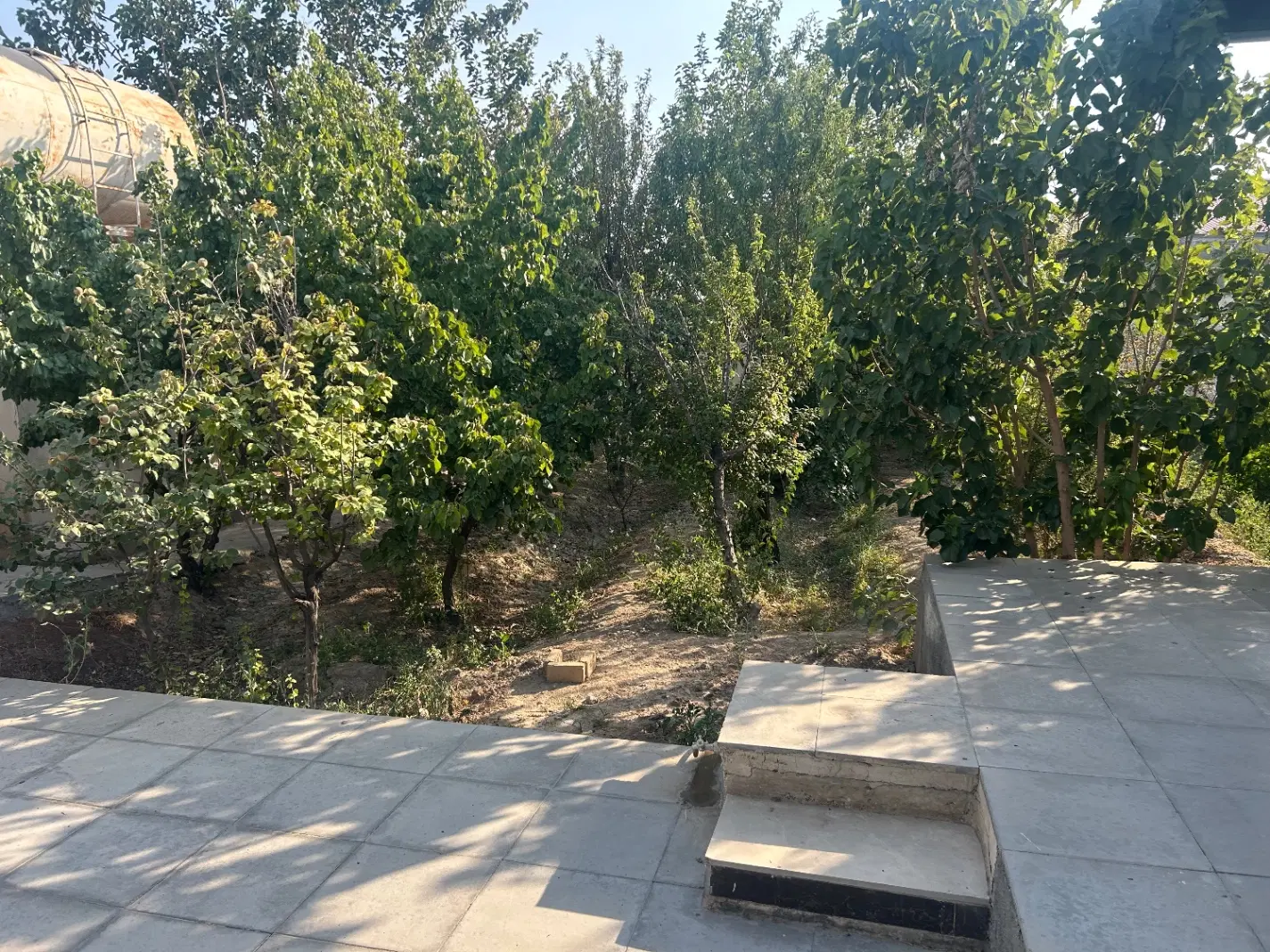 باغچه ویلا