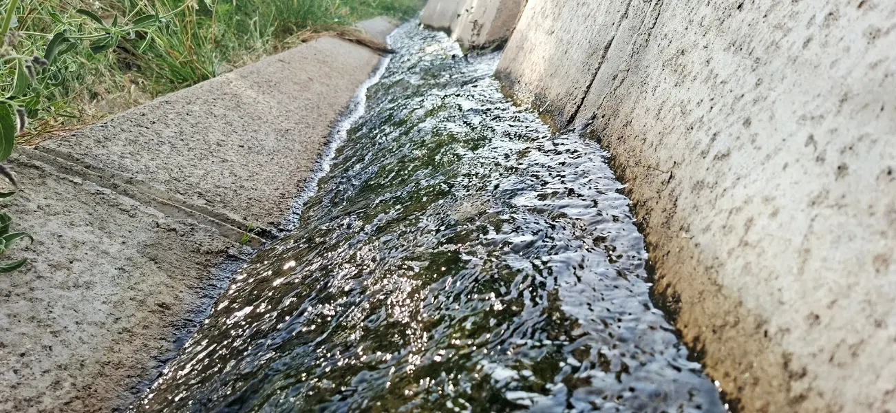 فروش زمین پسته