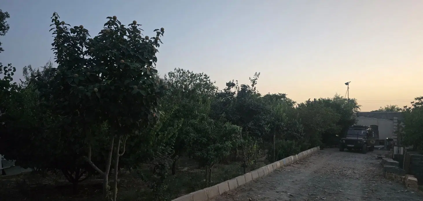 زمین باغچه ۸۰۰ متری باغ و ویلا