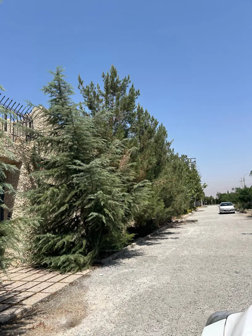 زمین ۵۰۰ متری سند دار