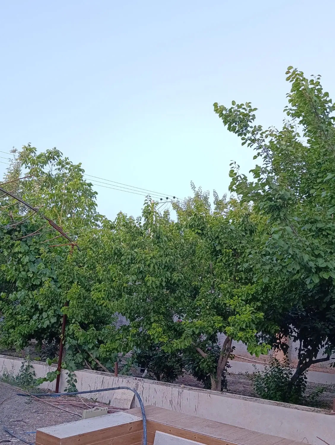 رهن اجاره مسکن مهر فولادشهر E6