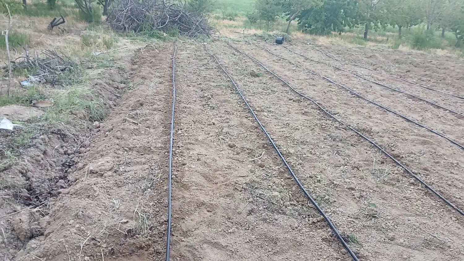 ۱۸۰ متر زمین مسکن ملی