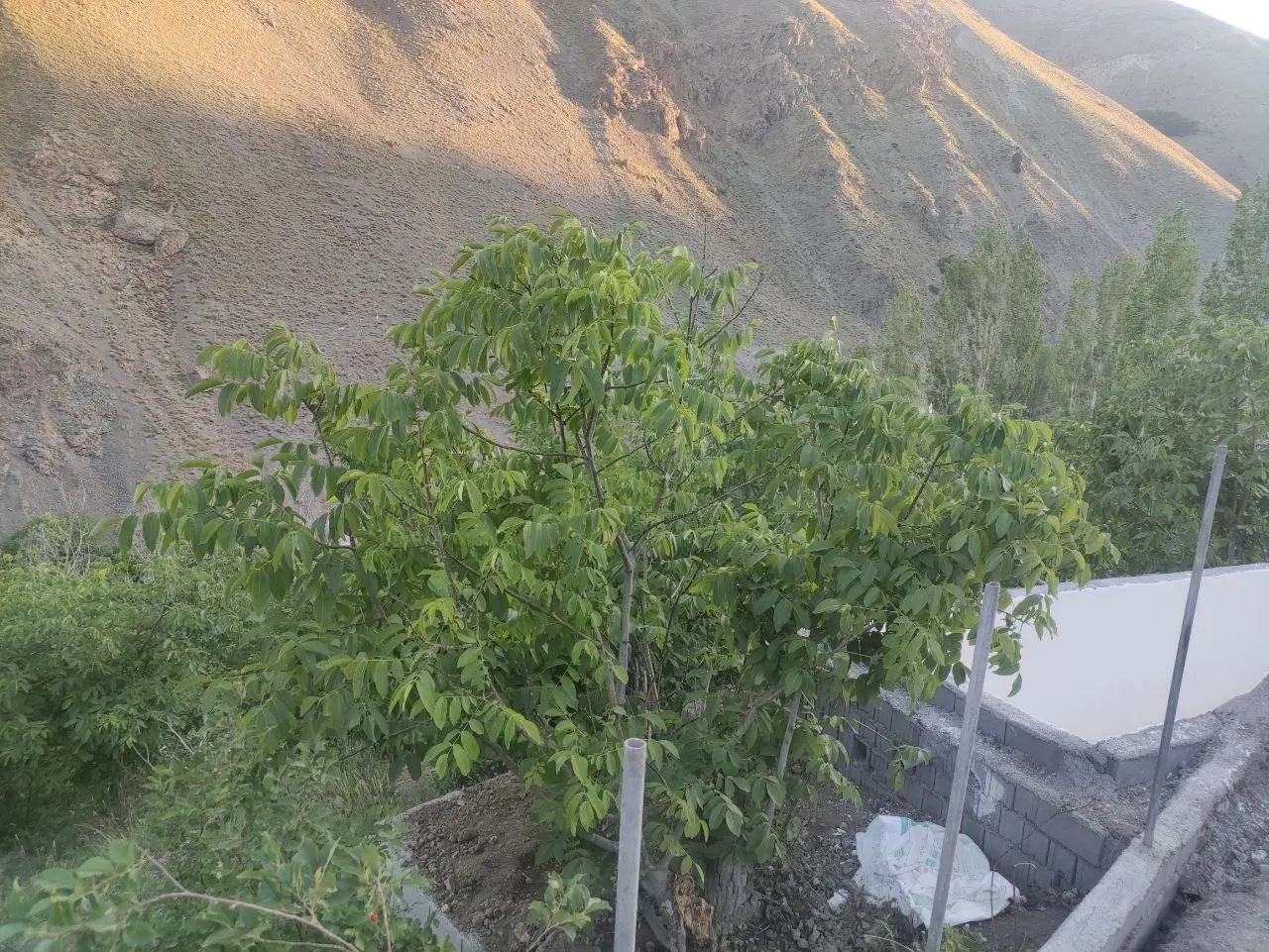 باغ ۶۵۰ متر مناسب ساخت