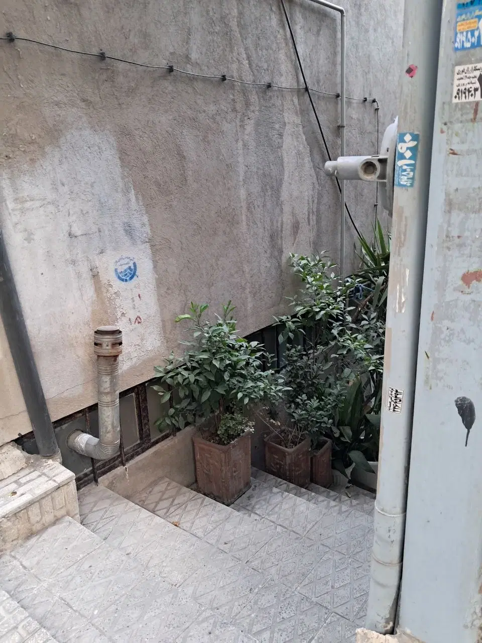 همخانه آقا