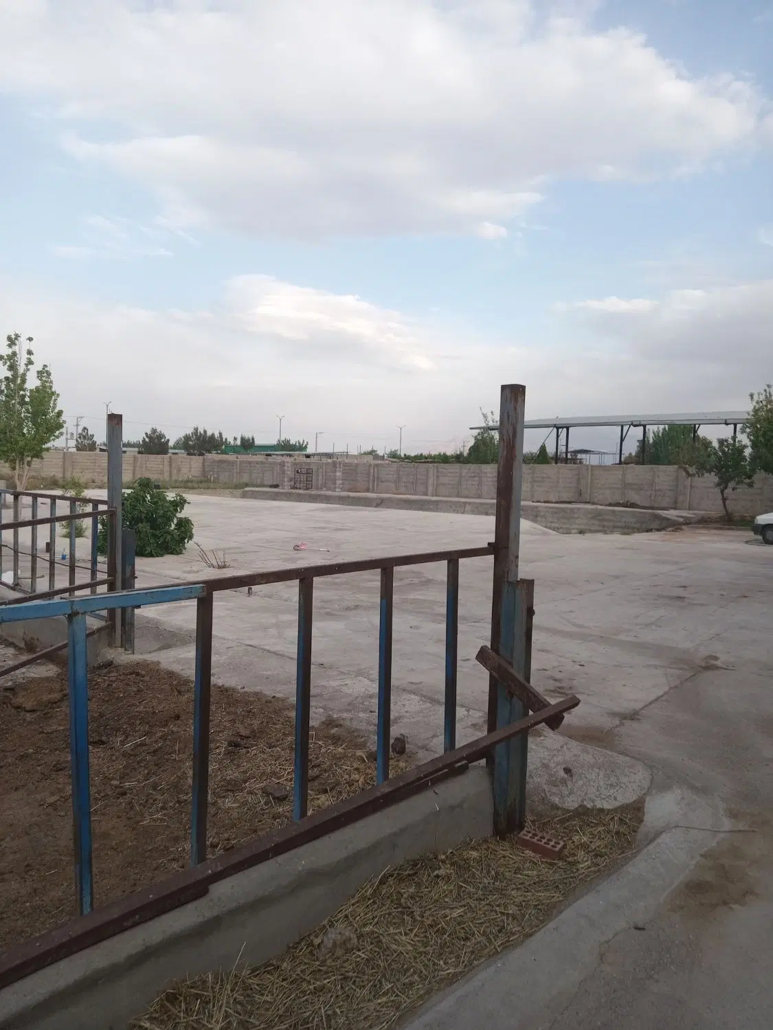 گاوداری شیری