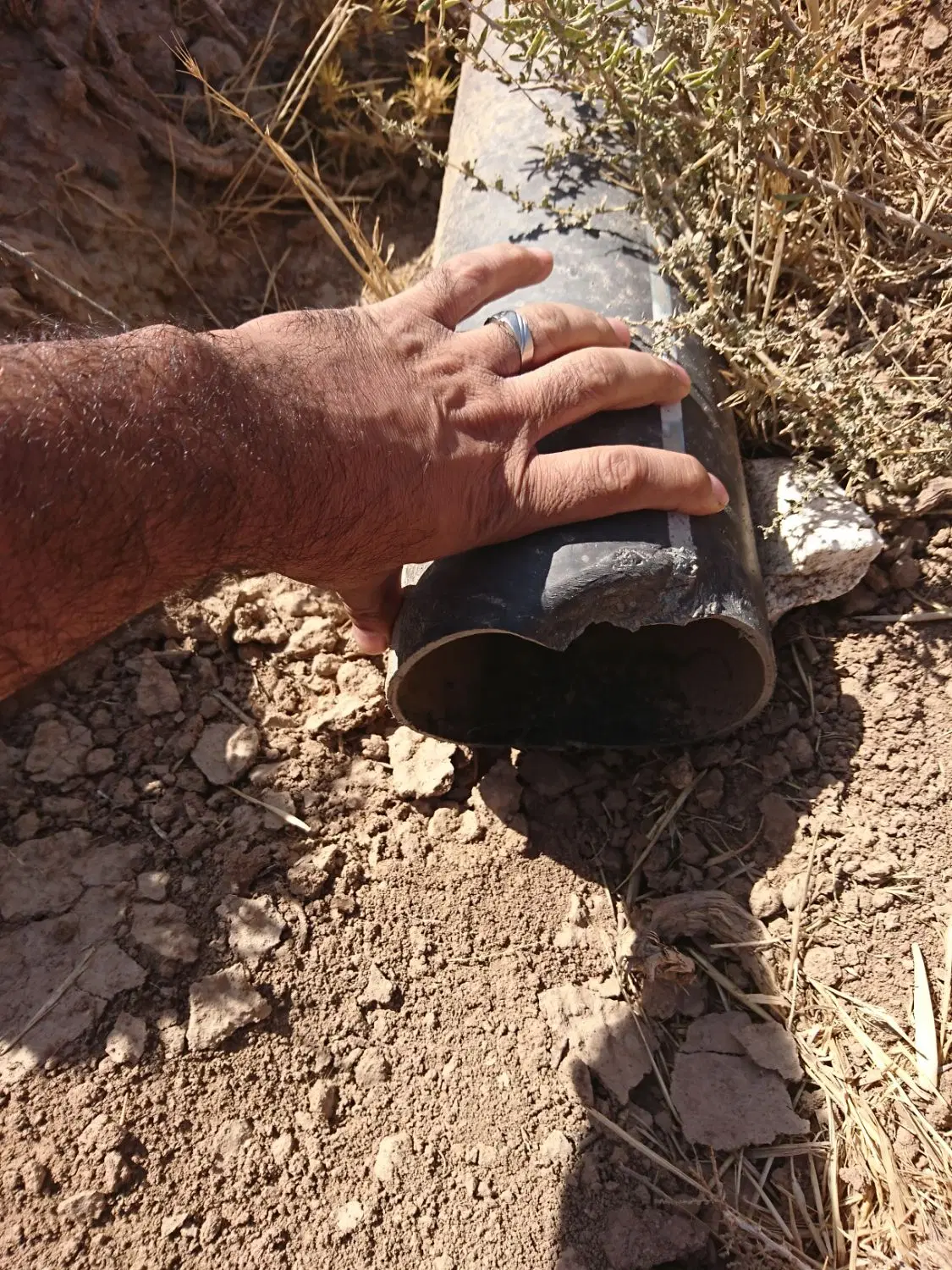 زمین کشاورزی نیم هکتاری در روستاهای بوئین زهرا