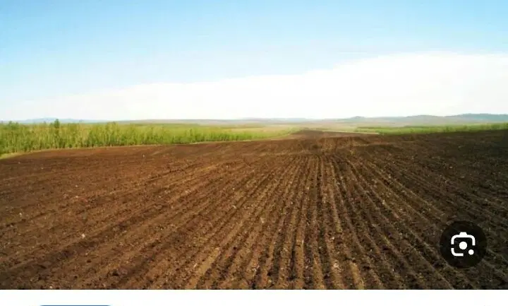 زمین کشاورزی
