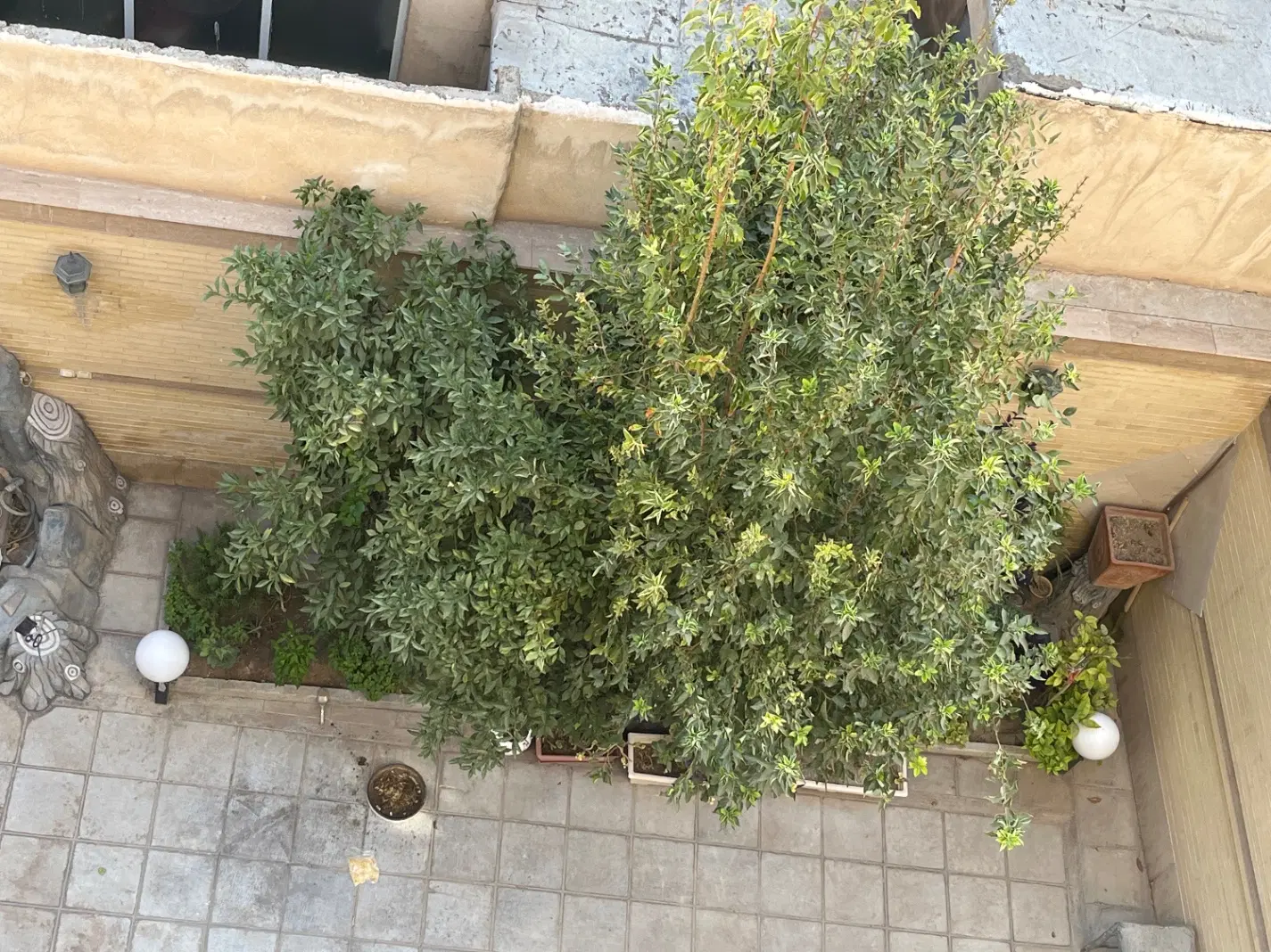 آپارتمان ۱۳۰ متری و ۳۰ متر بهارخواب